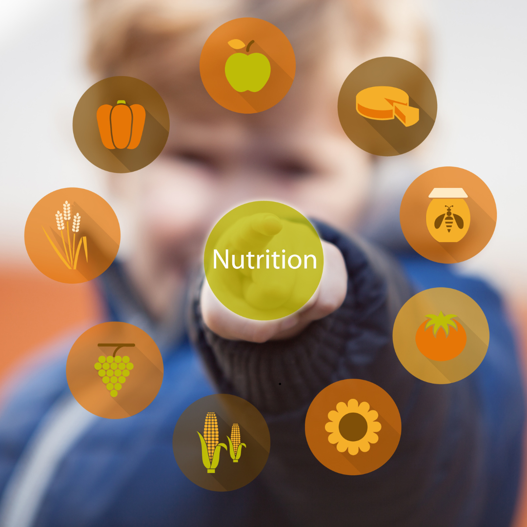 Essential Nutritional Strategies for Elderly Care: Insights from Country Kitchen Foods Norfolk
